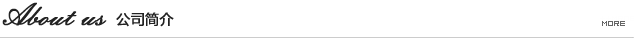 公司簡(jiǎn)介